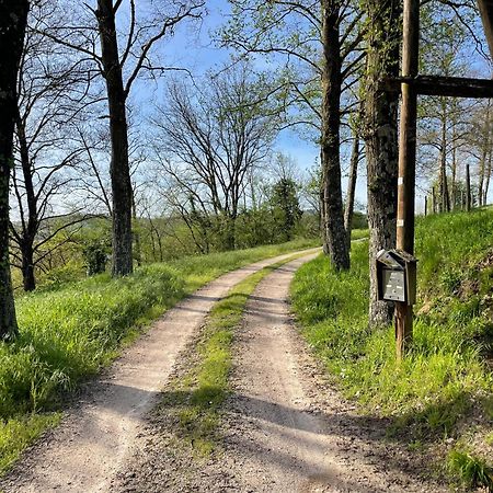 Agriturismo Podere Le Tombe Guest House Палая Екстериор снимка