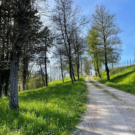 Agriturismo Podere Le Tombe Guest House Палая Екстериор снимка