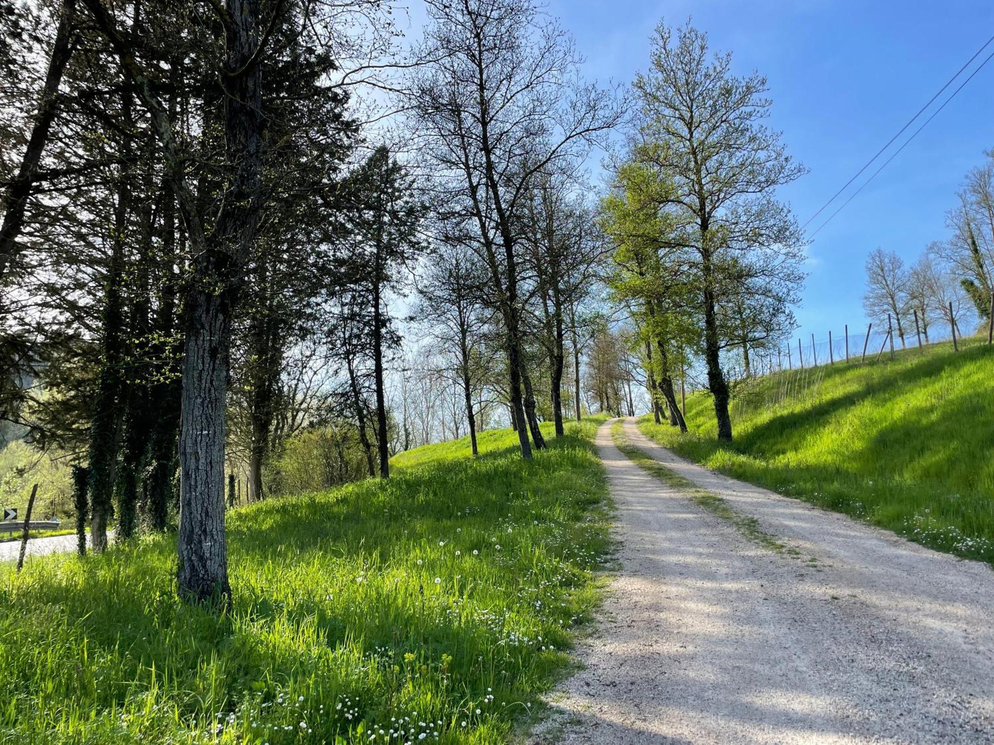 Agriturismo Podere Le Tombe Guest House Палая Екстериор снимка